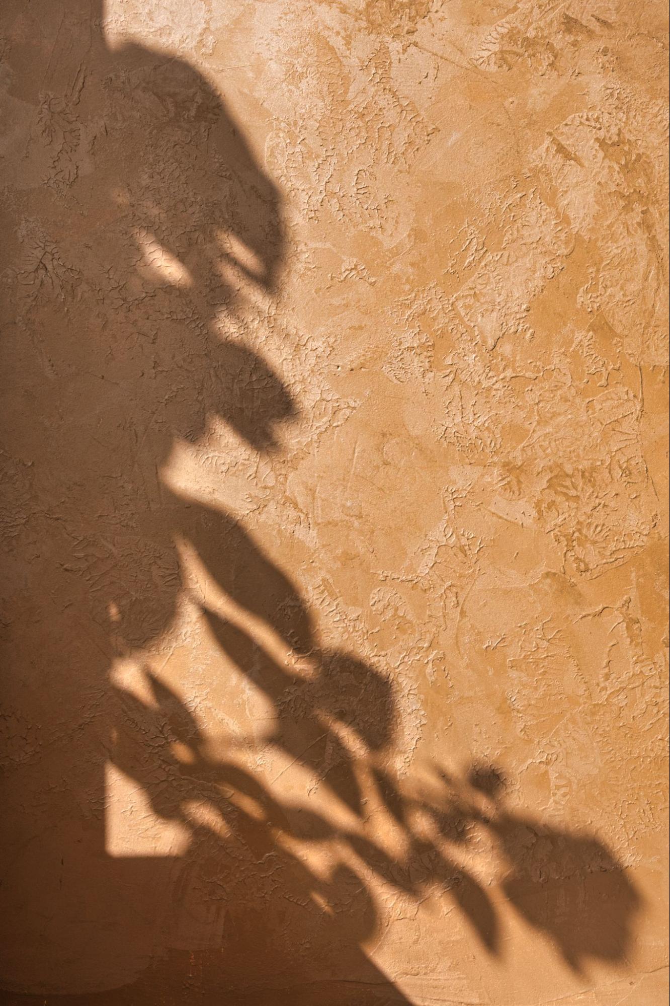 Fotó - Mária, klant uit Utrecht